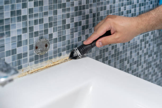 Best Black Mold Removal  in Beacon Square, FL